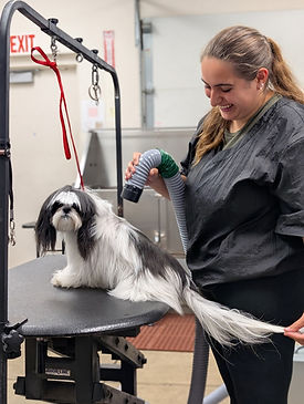 GraceGrooming