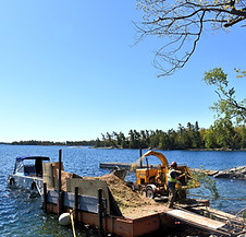 DSC_0631_edited.jpg