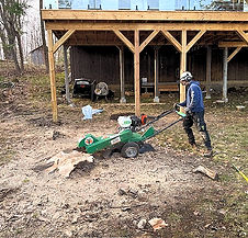 stump grinding_edited.jpg