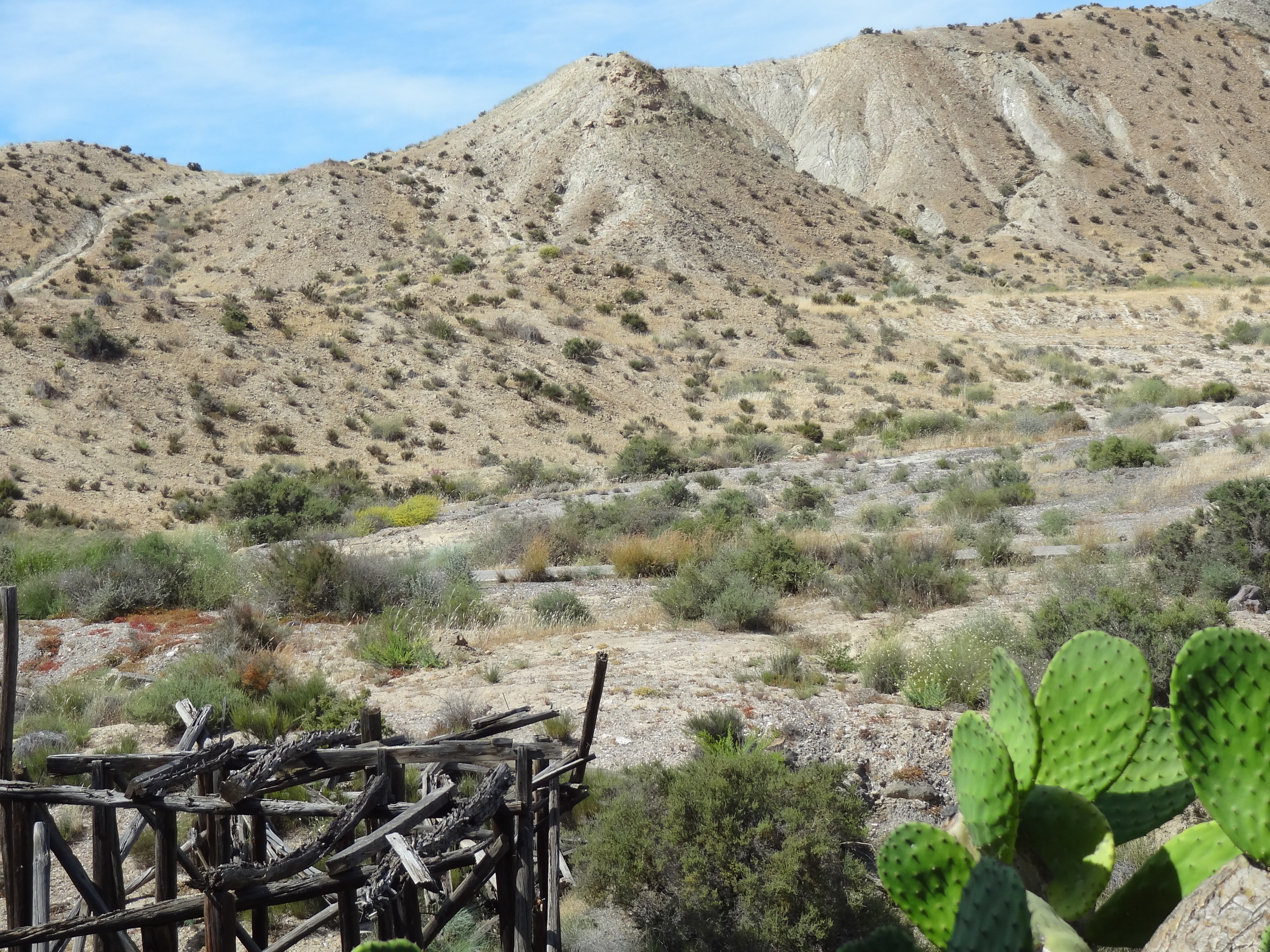 4x4 dans le désert de Tabernas