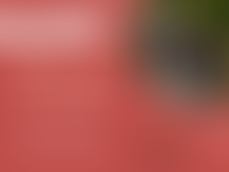 Dia Nacional da Mulher