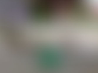 Confraternização do Dia do Cozinheiro(a)