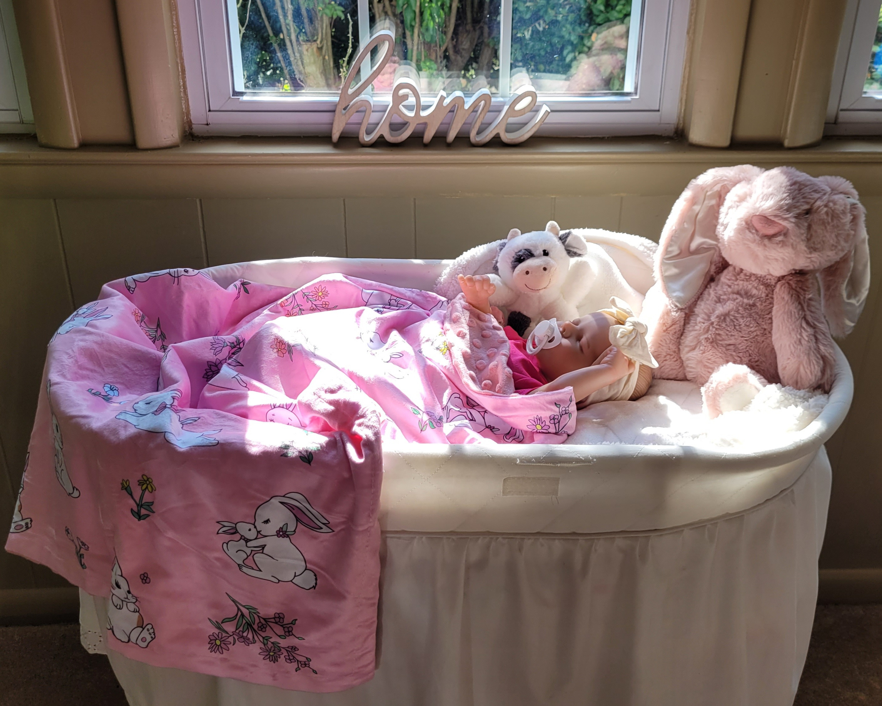 Minky baby blankets - 30" x 40"
