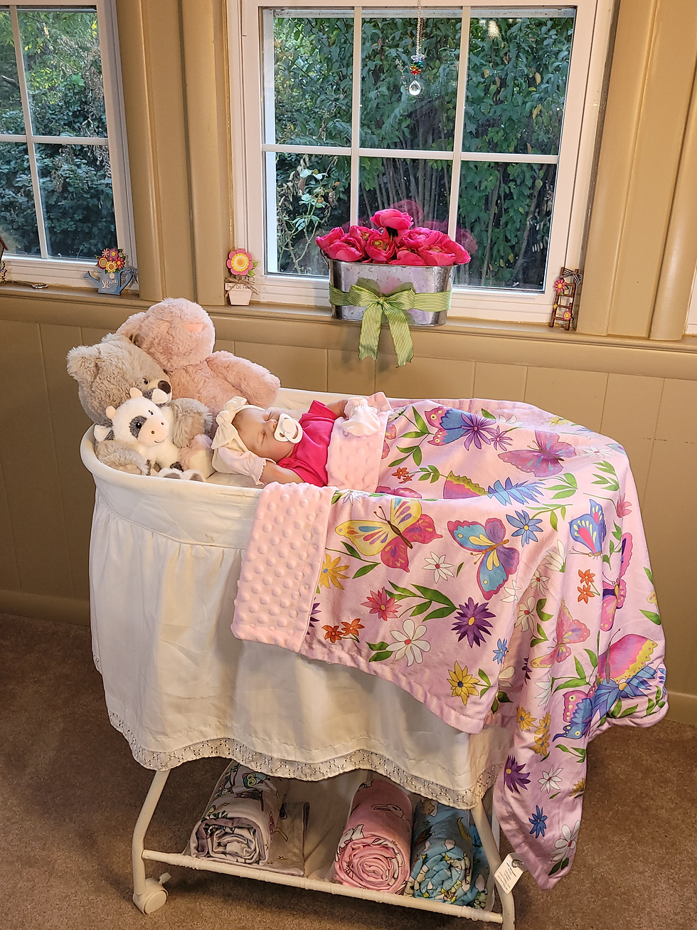 Thumbnail: Minky baby blankets - 30" x 40"
