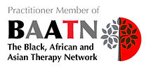 Practitioner-Member-logo.jpeg