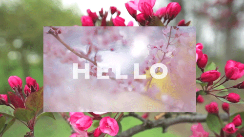hello spring.gif
