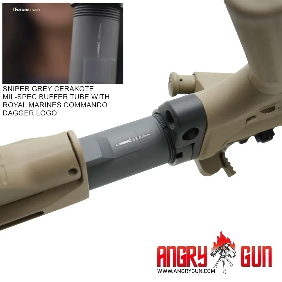Thumbnail: Angry Gun KS1 MWS CONVERSION KIT