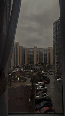 IMG_7964_1.png