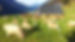 unnamed.jpg