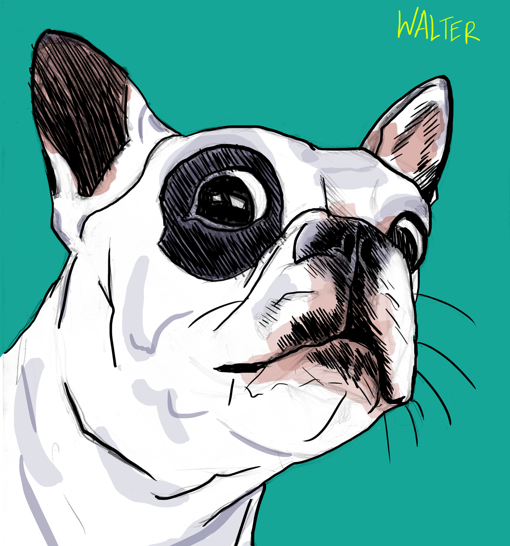 Walter, animated