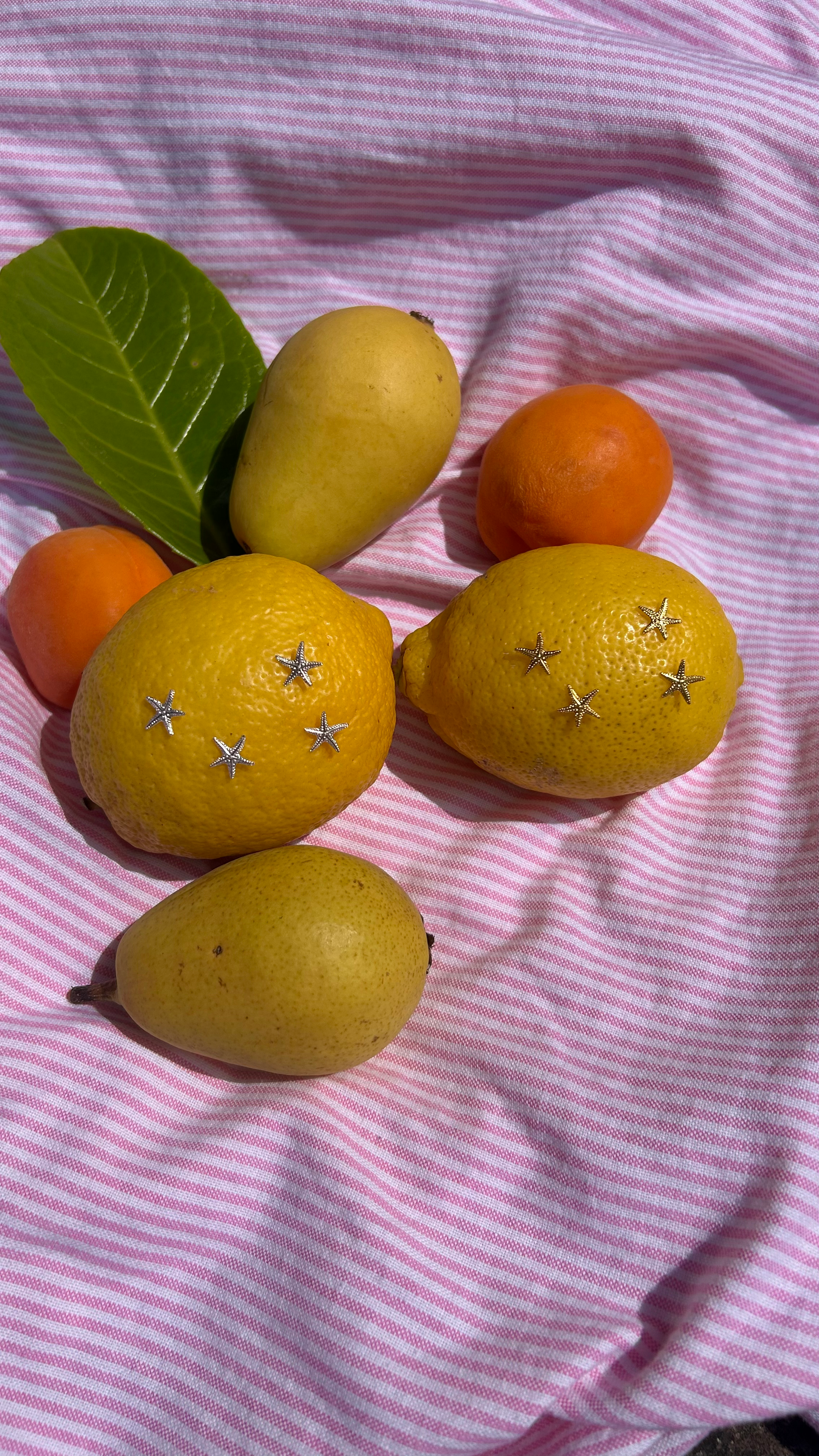 Orecchini Stelle Marine 