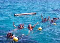 276069532_5616627831697269_8521584889409944014_n