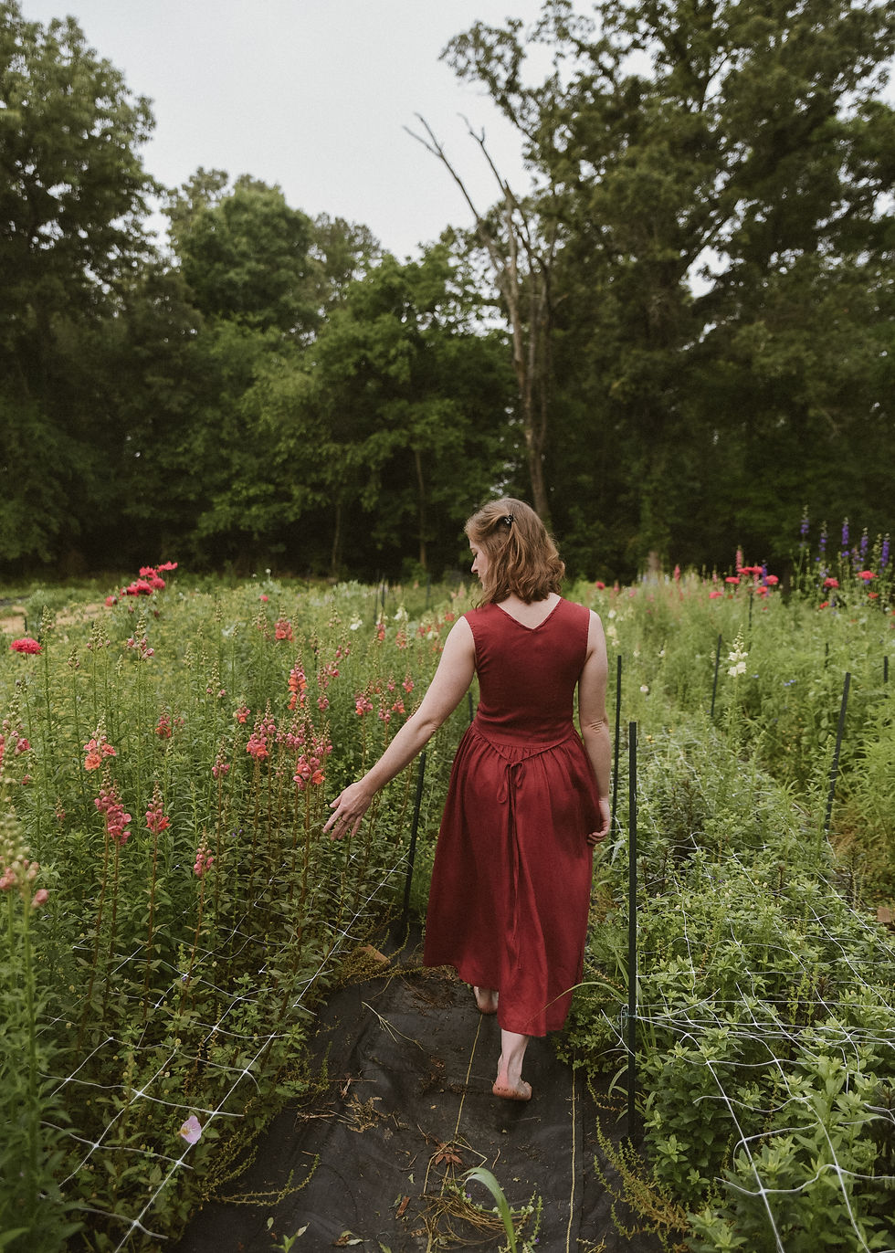 Thumbnail: Gaston Dress