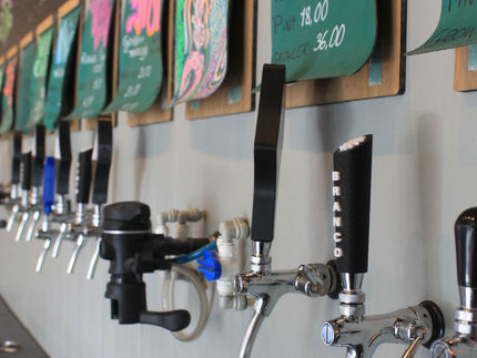 Cervejaria Maralto lança rótulo sazonal, vinhos e espumante on tap