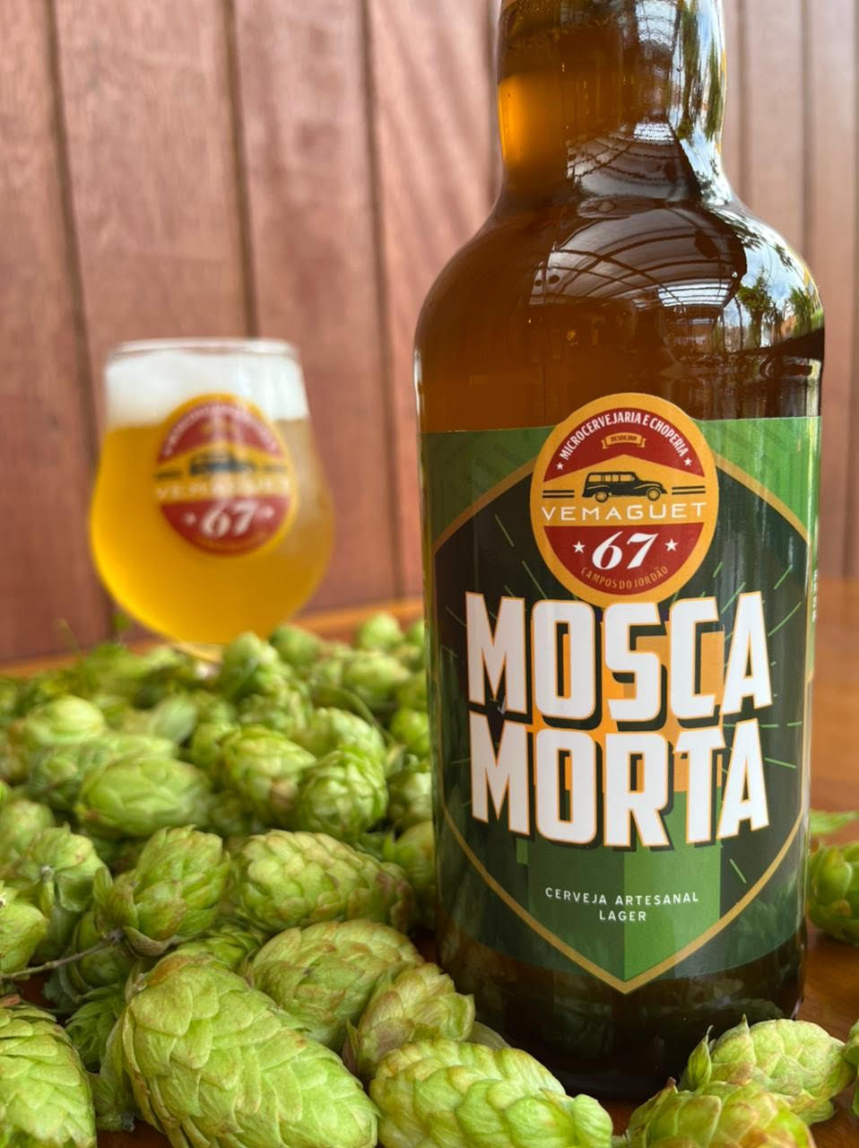 Cerveja Vemaguet 67