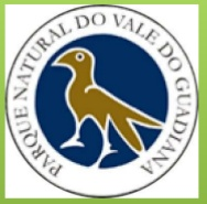 PNVG.PNG