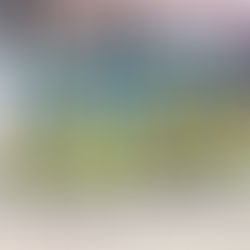 2026 交通安全ハッピーライブ