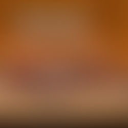 2026 第21回ハートフルコンサート