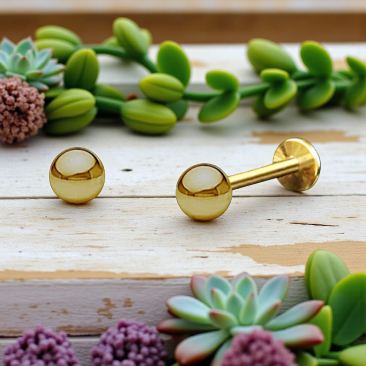 ◦•✦.Ball.✦•◦