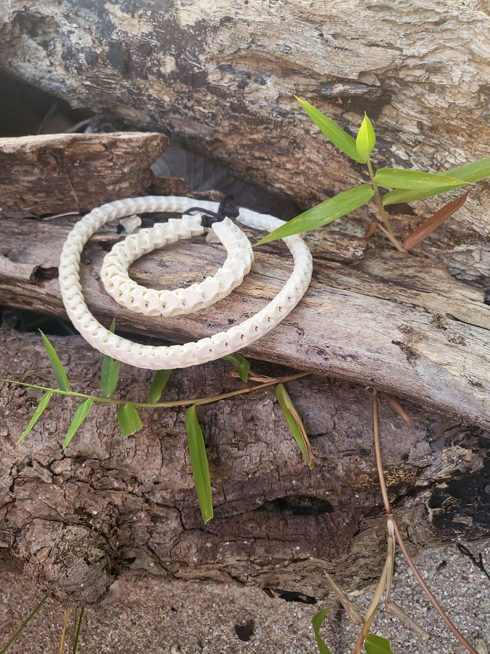Thumbnail: ◦•✦.Snake.✦•◦