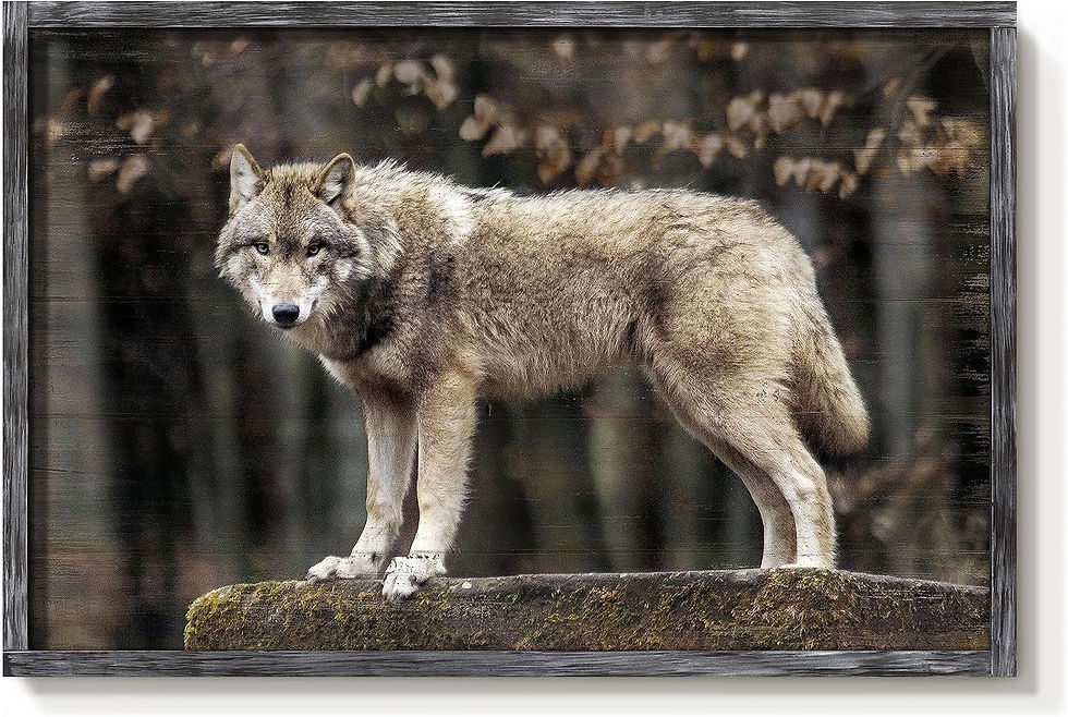 Wolf Framed Art - 45"x30" LM