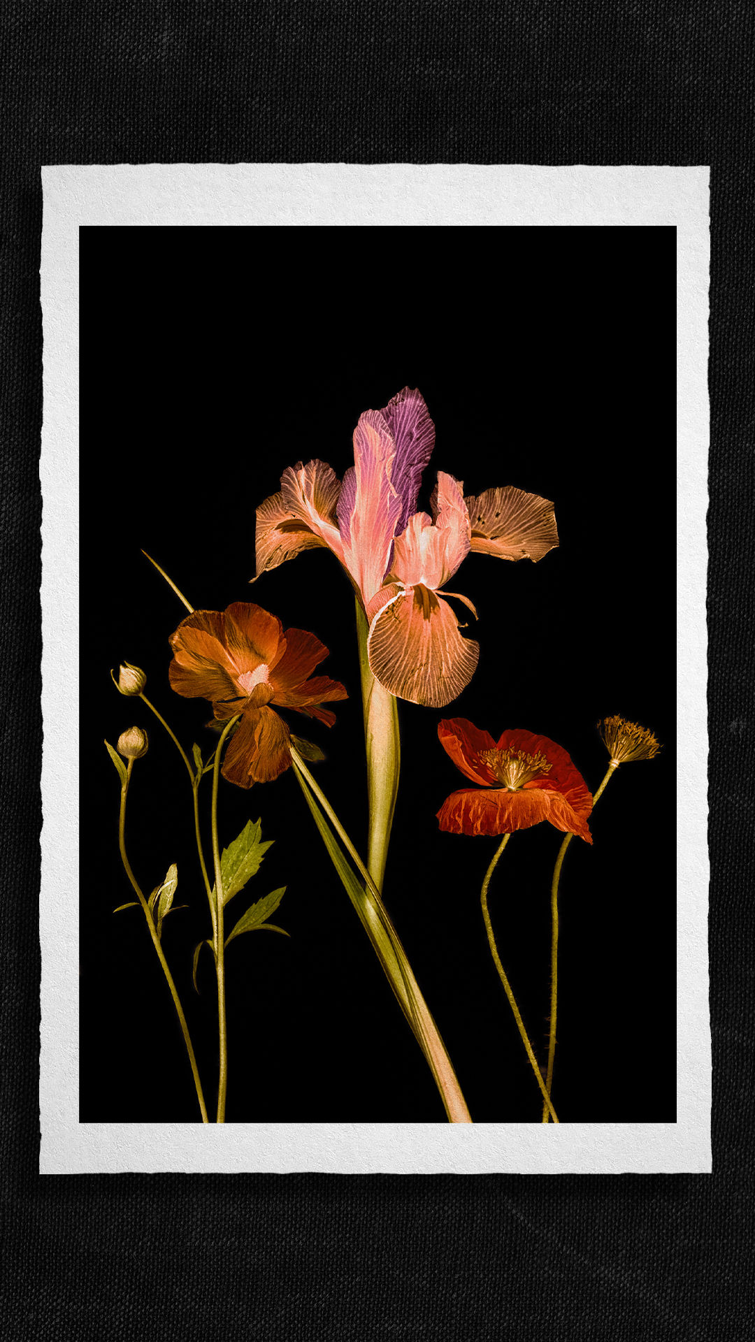 Goddess of the rainbow