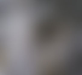 Au cœur de l’ouragan !