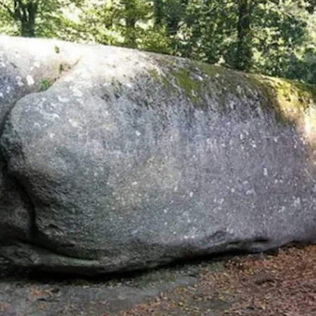 Foi et persévérance 