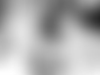 Le chiot et le garçonnet 