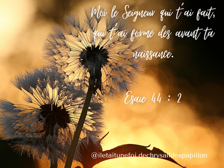 Vous n’êtes pas là par hasard