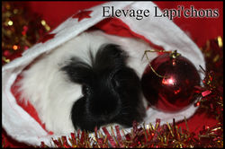 pizap.com14510664803778