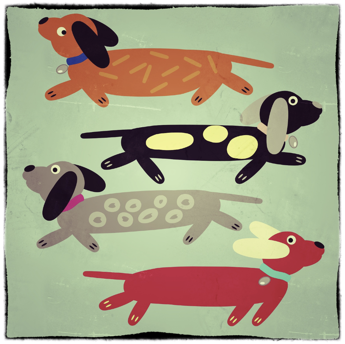 Sausage dog