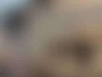 EXHIBITION has been updated