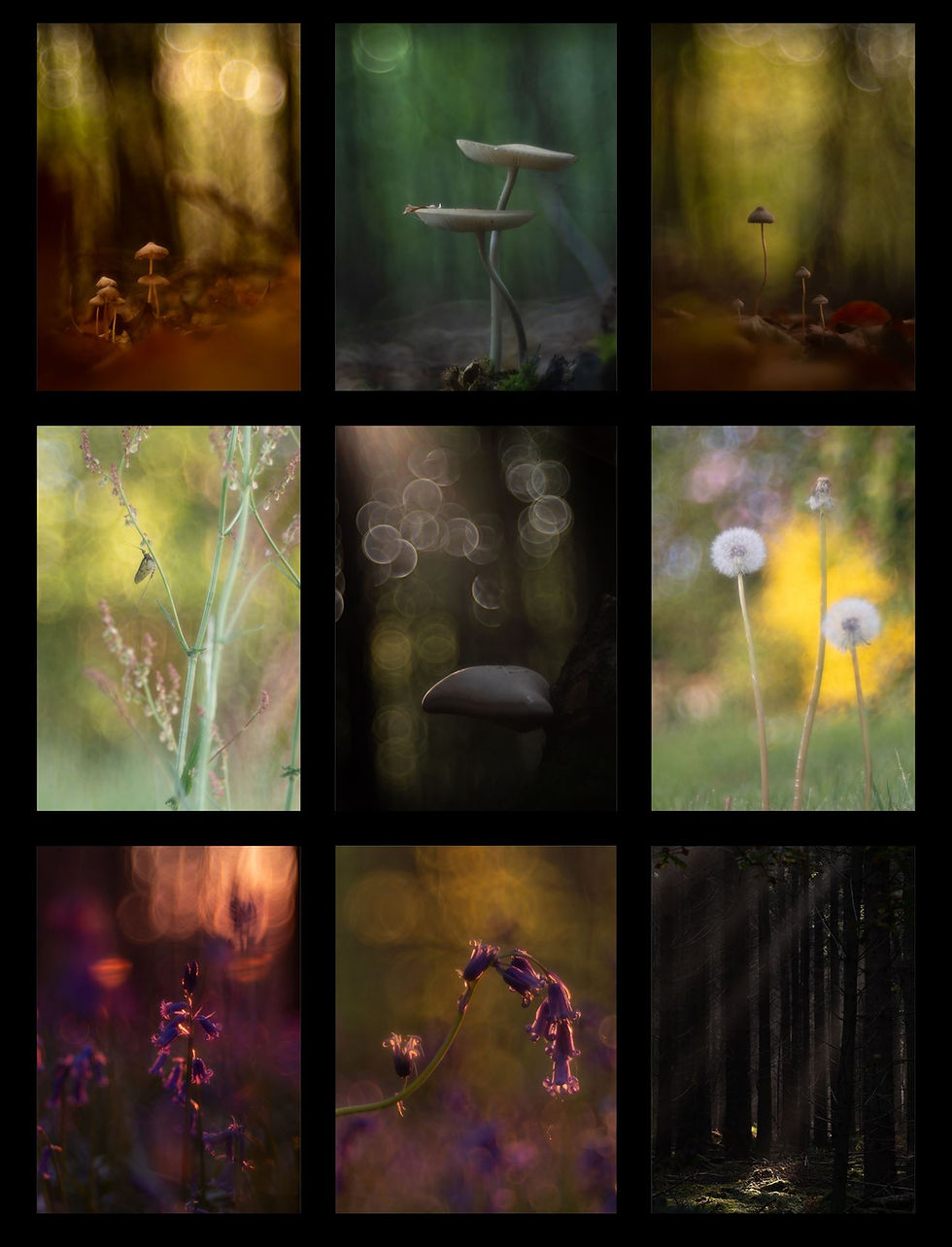 🎉Merveilleuse année 2026 et best of 2025