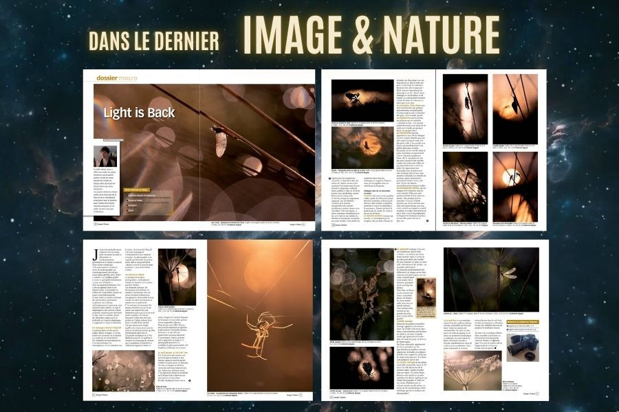 "Light is Back" dans le dernier Image & Nature