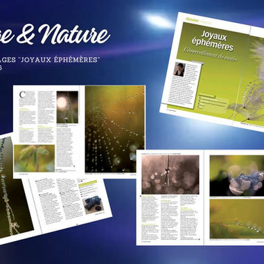 Dossier macro 8 pages "Joyaux éphémères" dans Image & Nature
