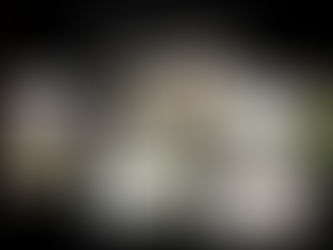 Mes "fées éphémères" à la une d'Image & Nature