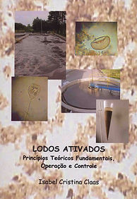 Capa do livro_edited.jpg