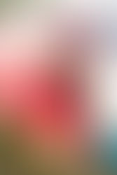 Diseños con el corazón: colección "TUTTI FRUTTI" Primavera/verano 2024