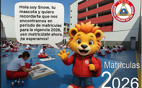 Snow para matrículas.jpg