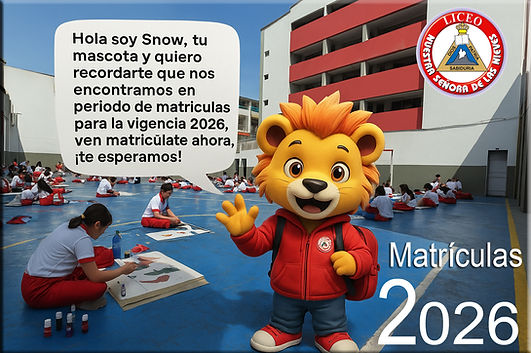 Snow para matrículas.jpg