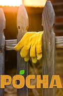 Pocha_Poster.jpg