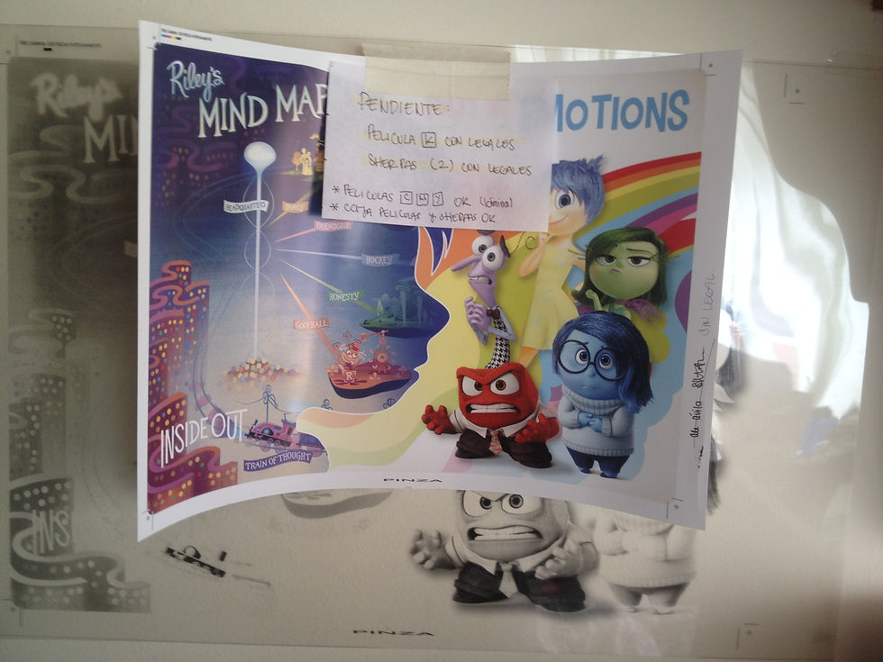 100 PZAS Insideout - PUZZLE
