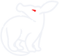 aardvark1-light.png