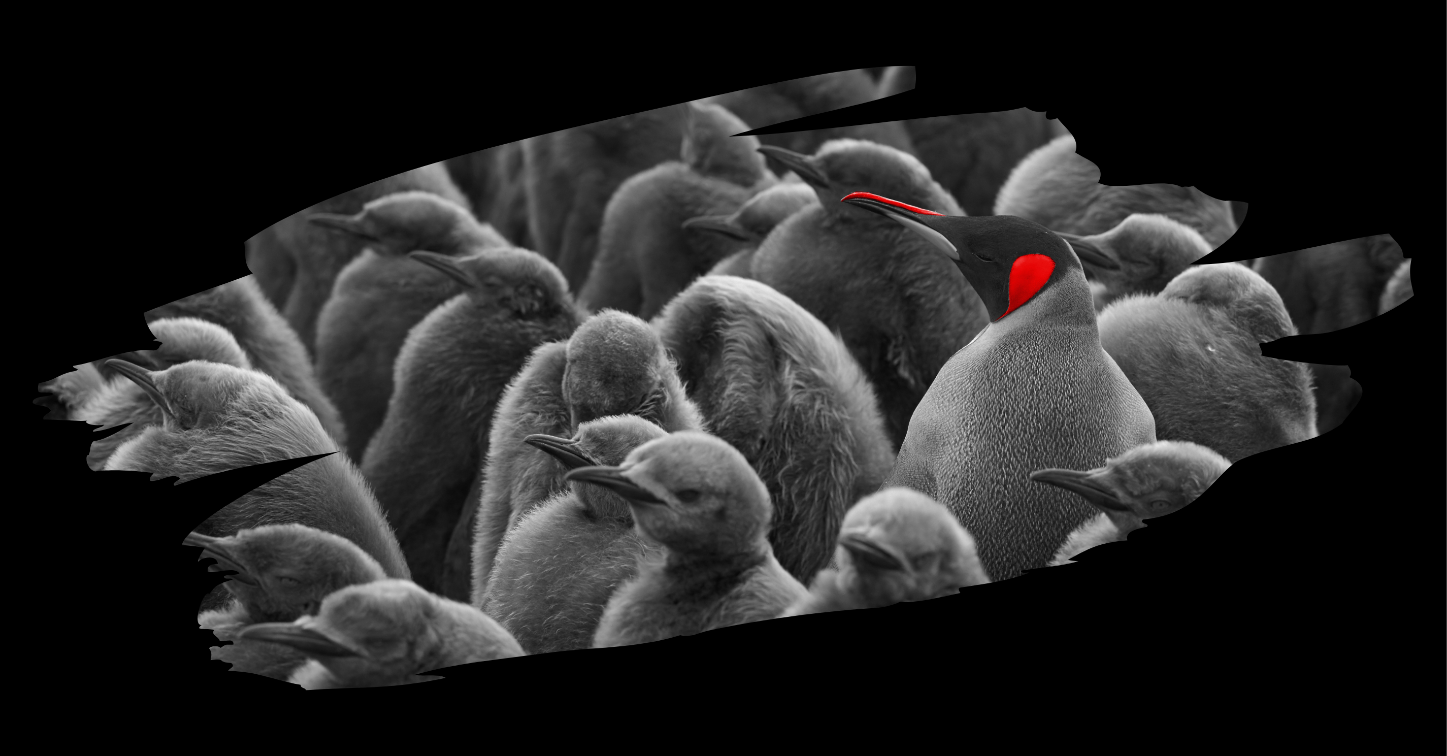 Writer: @curate Founders