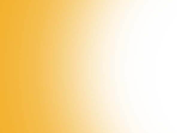 yellow feather3.png