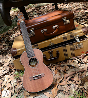 suitcase and ukelele