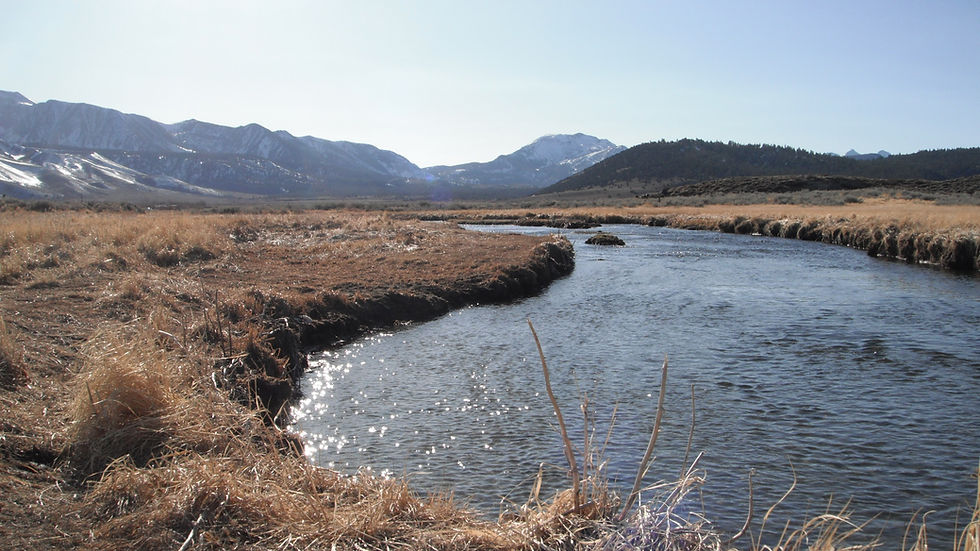 Streams, Creeks, and Rivers