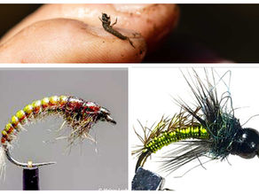 # 26 Learning to Nymph Part 1 of 2