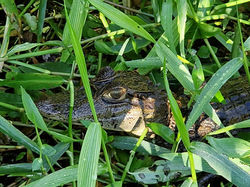 f320f1b6-7973-4ae2-8827-3ba7a89baaf3